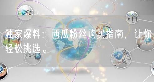 独家爆料：西瓜粉丝购买指南，让你轻松挑选。