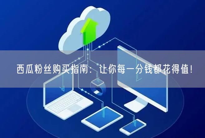 西瓜粉丝购买指南：让你每一分钱都花得值！