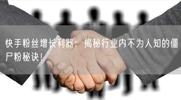 快手粉丝增长利器：揭秘行业内不为人知的僵尸粉秘诀！