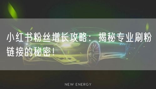 小红书粉丝增长攻略：揭秘专业刷粉链接的秘密！