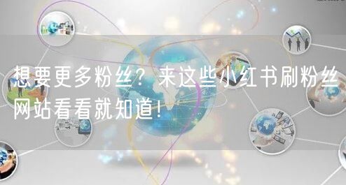 想要更多粉丝？来这些小红书刷粉丝网站看看就知道！