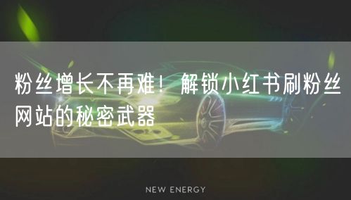 粉丝增长不再难！解锁小红书刷粉丝网站的秘密武器