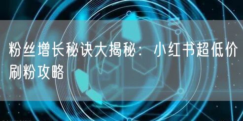 粉丝增长秘诀大揭秘：小红书超低价刷粉攻略