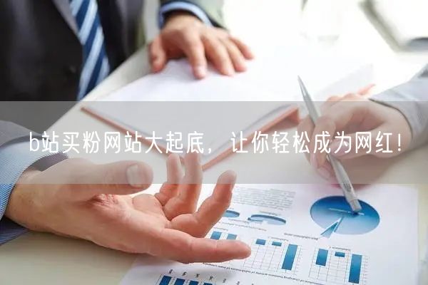 b站买粉网站大起底，让你轻松成为网红！