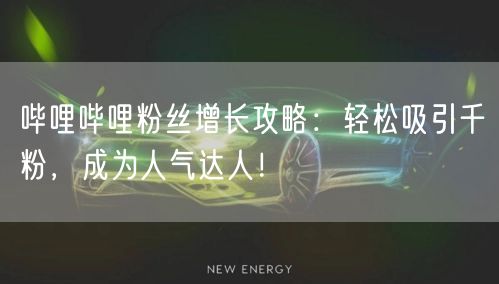 哔哩哔哩粉丝增长攻略：轻松吸引千粉，成为人气达人！