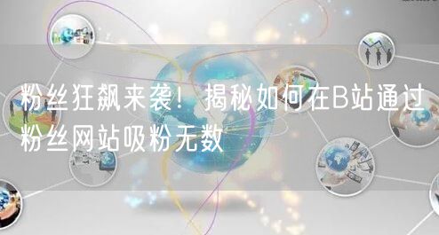 粉丝狂飙来袭！揭秘如何在B站通过粉丝网站吸粉无数