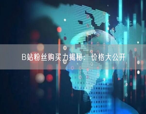 B站粉丝购买力揭秘：价格大公开