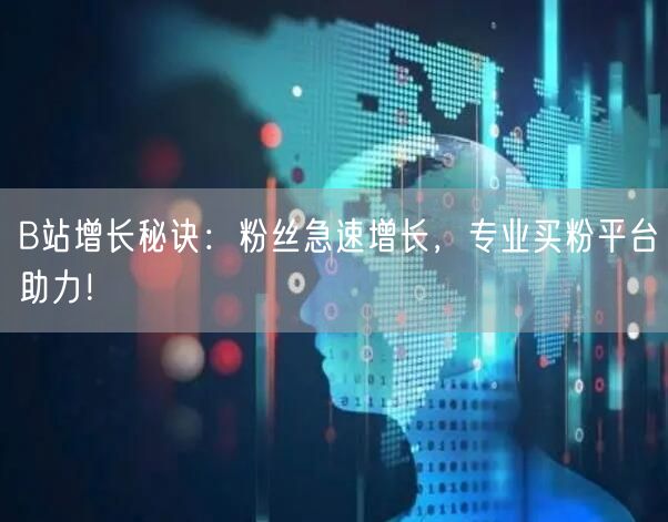 B站增长秘诀：粉丝急速增长，专业买粉平台助力！
