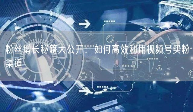 粉丝增长秘籍大公开：如何高效利用视频号买粉渠道