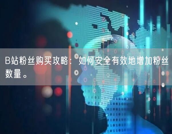 B站粉丝购买攻略：如何安全有效地增加粉丝数量。