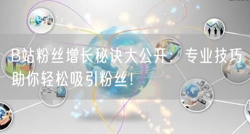B站粉丝增长秘诀大公开：专业技巧助你轻松吸引粉丝！