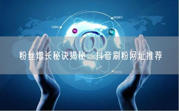 粉丝增长秘诀揭秘：抖音刷粉网址推荐