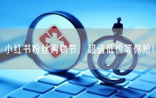 小红书粉丝购物节，超值低价等你抢！