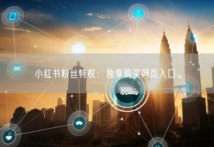 小红书粉丝特权：独享购买网页入口。