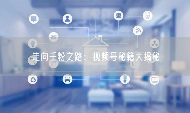 走向千粉之路：视频号秘籍大揭秘