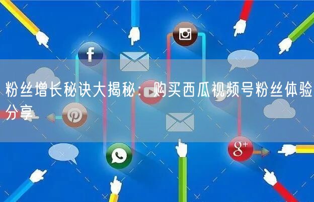 粉丝增长秘诀大揭秘：购买西瓜视频号粉丝体验分享