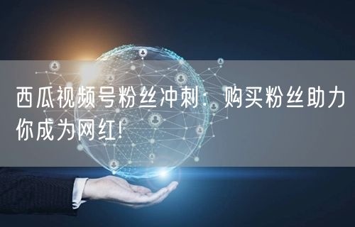 西瓜视频号粉丝冲刺：购买粉丝助力你成为网红!