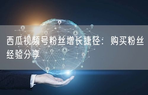 西瓜视频号粉丝增长捷径：购买粉丝经验分享