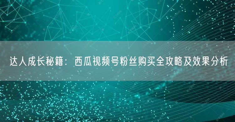 达人成长秘籍：西瓜视频号粉丝购买全攻略及效果分析