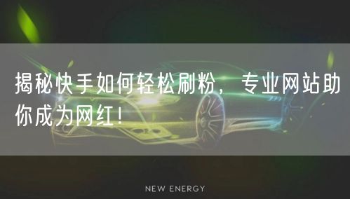 揭秘快手如何轻松刷粉，专业网站助你成为网红！