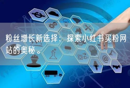 粉丝增长新选择：探索小红书买粉网站的奥秘。