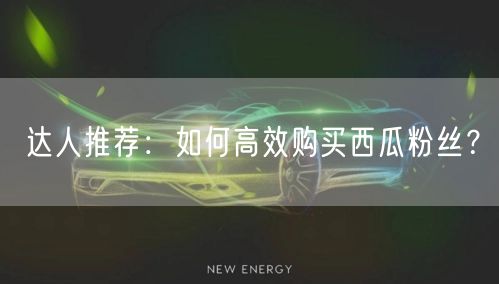 达人推荐：如何高效购买西瓜粉丝？