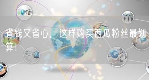 省钱又省心，这样购买西瓜粉丝最划算！