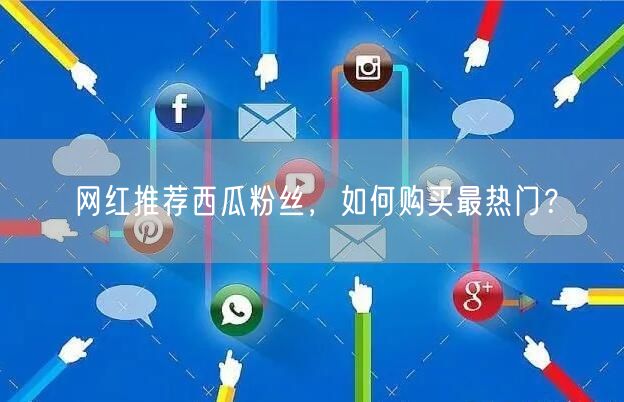 网红推荐西瓜粉丝，如何购买最热门？