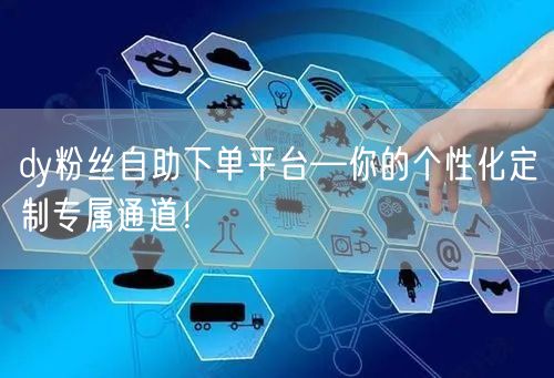 dy粉丝自助下单平台—你的个性化定制专属通道！