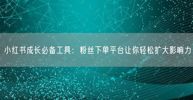 小红书成长必备工具：粉丝下单平台让你轻松扩大影响力