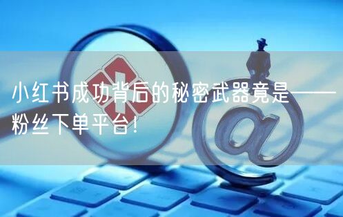 小红书成功背后的秘密武器竟是——粉丝下单平台！