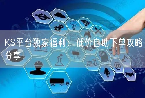 KS平台独家福利：低价自助下单攻略分享！