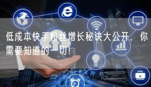 低成本快手粉丝增长秘诀大公开，你需要知道的一切！