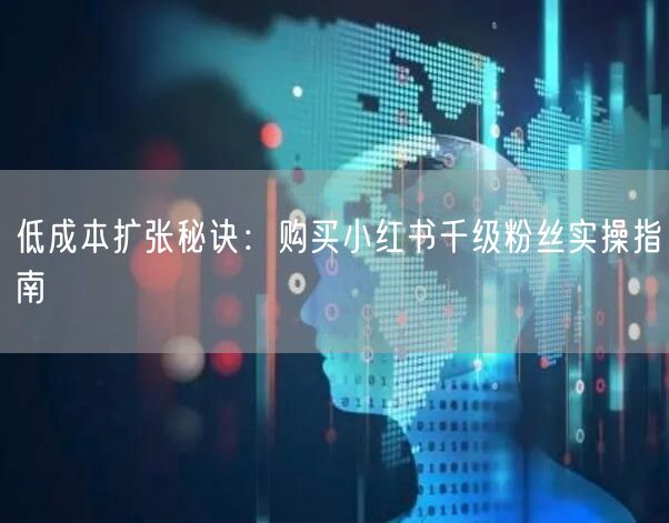低成本扩张秘诀：购买小红书千级粉丝实操指南