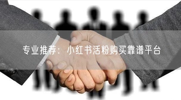 专业推荐：小红书活粉购买靠谱平台