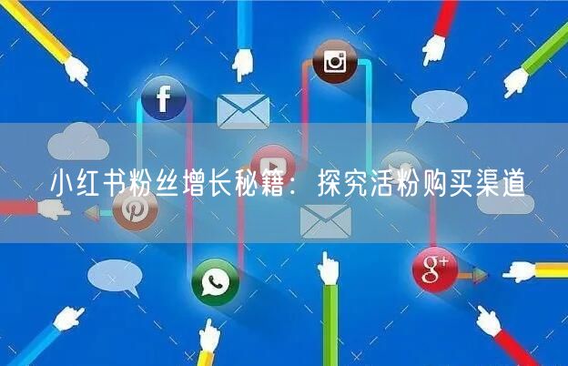 小红书粉丝增长秘籍：探究活粉购买渠道