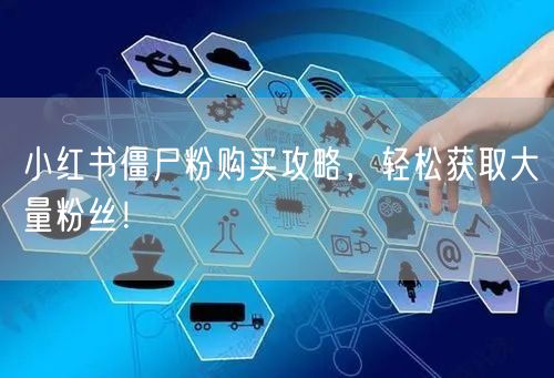 小红书僵尸粉购买攻略，轻松获取大量粉丝！