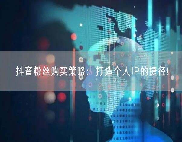 抖音粉丝购买策略：打造个人IP的捷径!