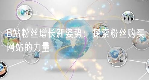 B站粉丝增长新姿势：探索粉丝购买网站的力量