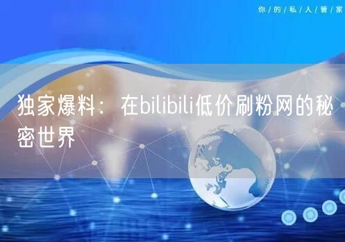独家爆料：在bilibili低价刷粉网的秘密世界