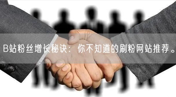 B站粉丝增长秘诀：你不知道的刷粉网站推荐。