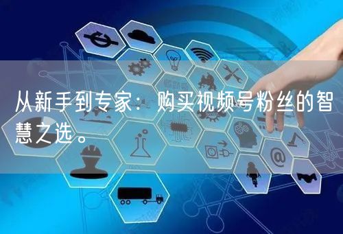 从新手到专家：购买视频号粉丝的智慧之选。