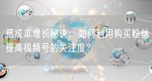 低成本增长秘诀：如何利用购买粉丝提高视频号的关注度？