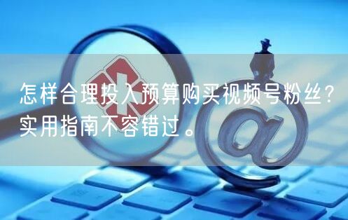怎样合理投入预算购买视频号粉丝？实用指南不容错过。