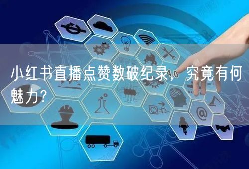 小红书直播点赞数破纪录，究竟有何魅力？