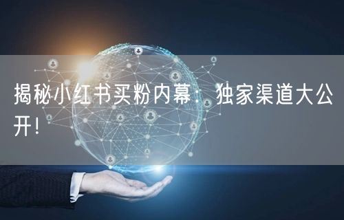 揭秘小红书买粉内幕：独家渠道大公开！