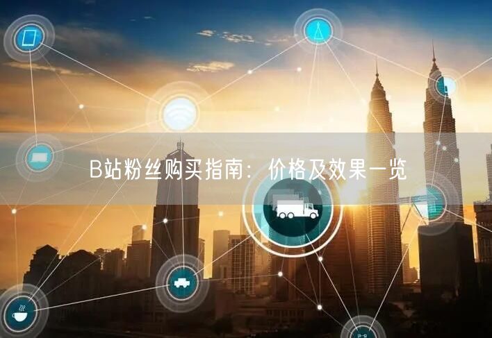 B站粉丝购买指南：价格及效果一览