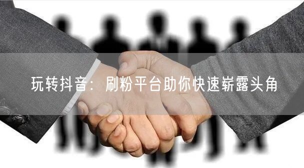 玩转抖音：刷粉平台助你快速崭露头角