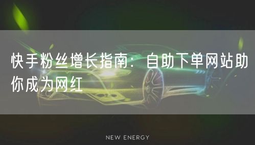 快手粉丝增长指南：自助下单网站助你成为网红