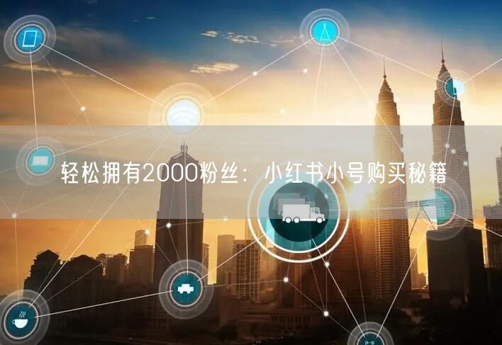 轻松拥有2000粉丝：小红书小号购买秘籍